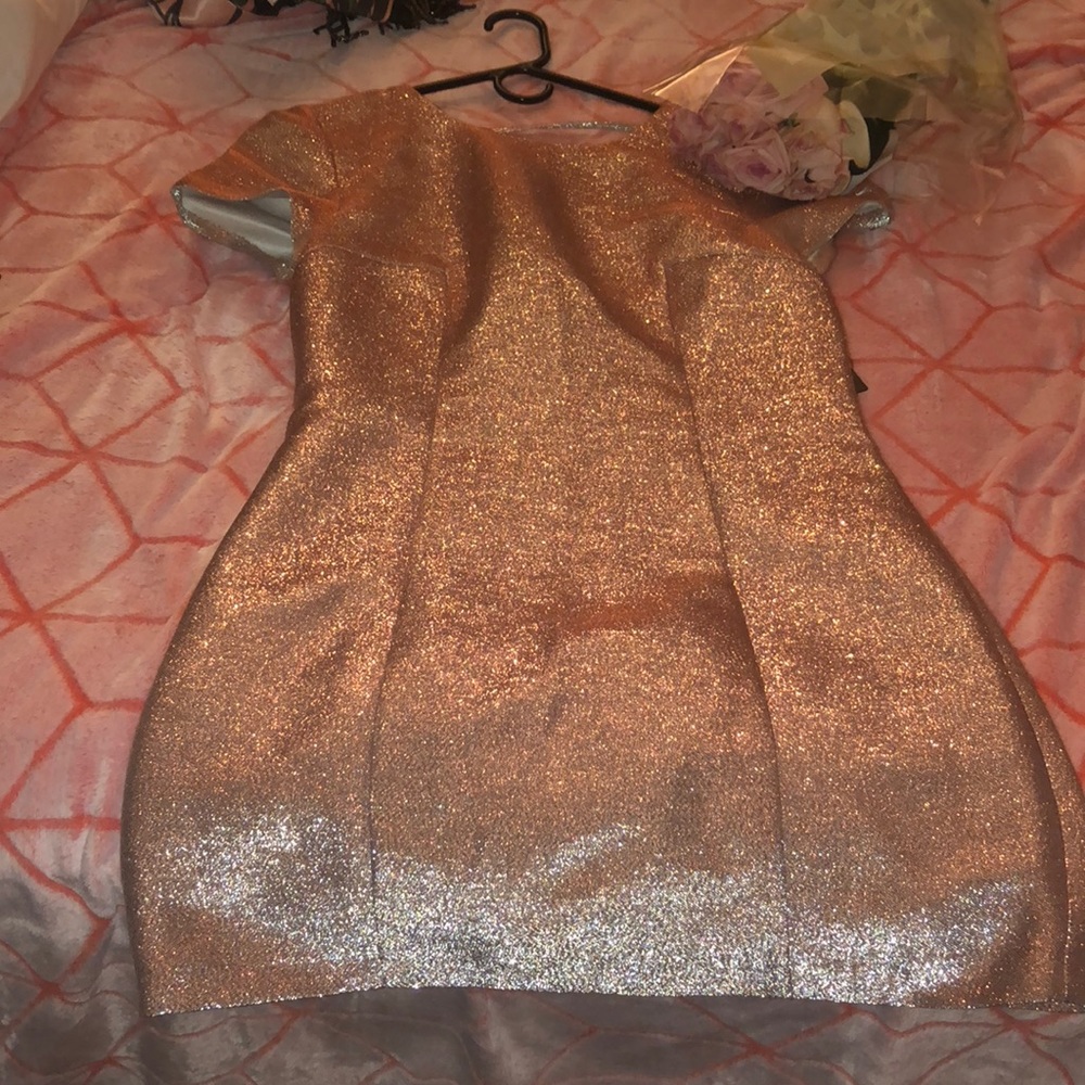 Brand New Rose Gold Express Mini Dress